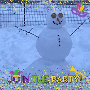 Meet your Posher, Ginger